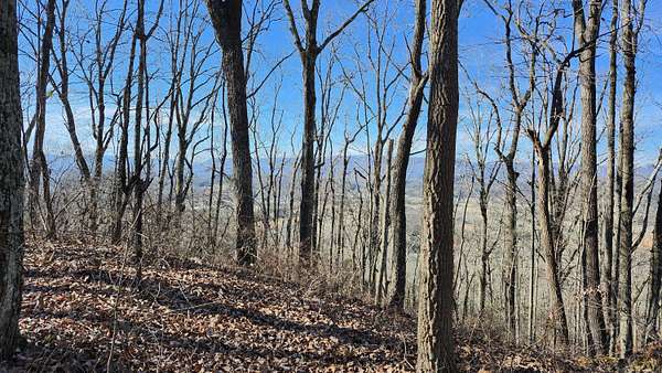 11.5 Acres of Land for Sale in Jasper, Tennessee