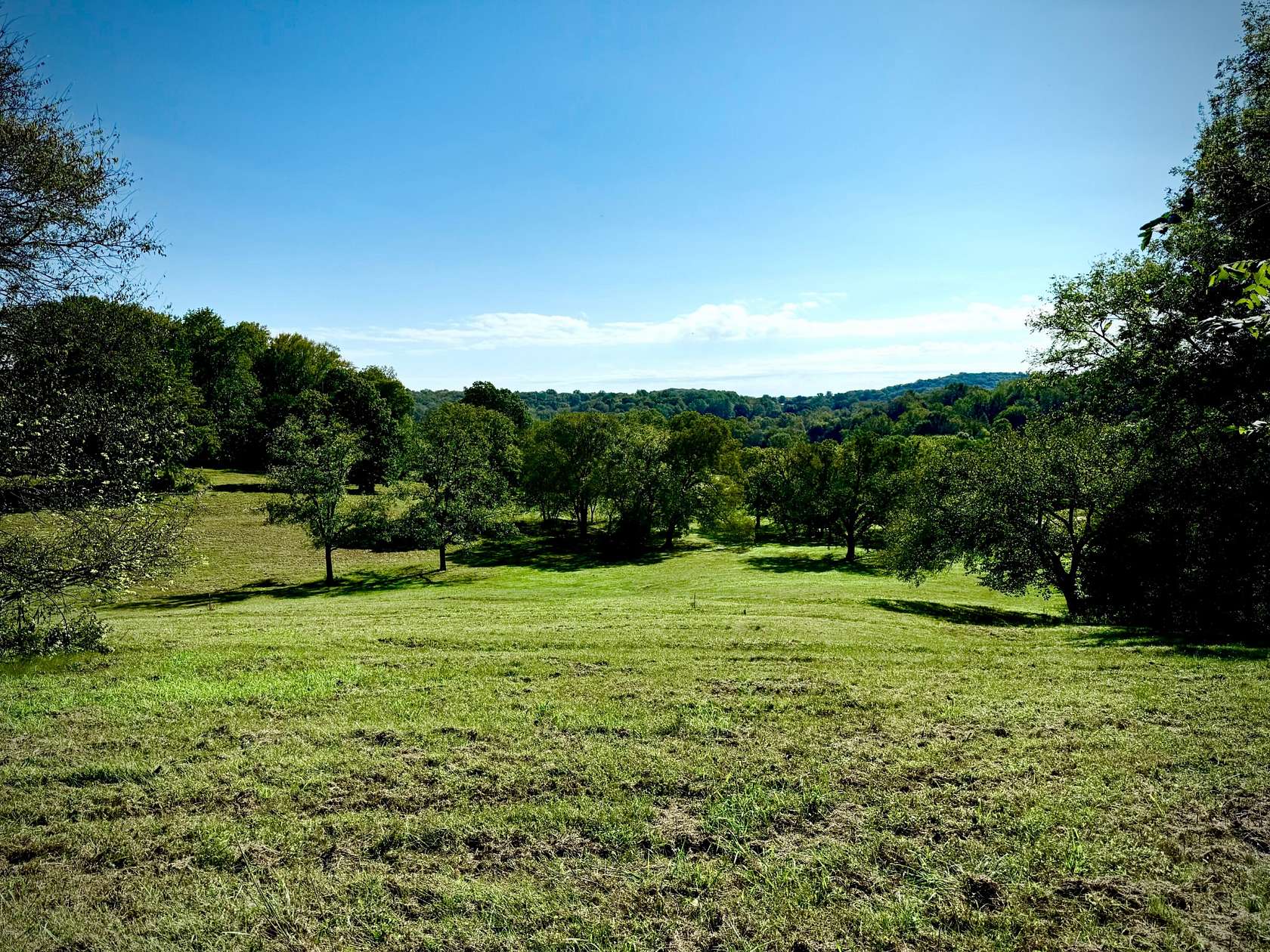 15.7 Acres of Land for Sale in Thompson's Station, Tennessee