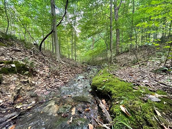 27.3 Acres of Land for Sale in Hampshire, Tennessee