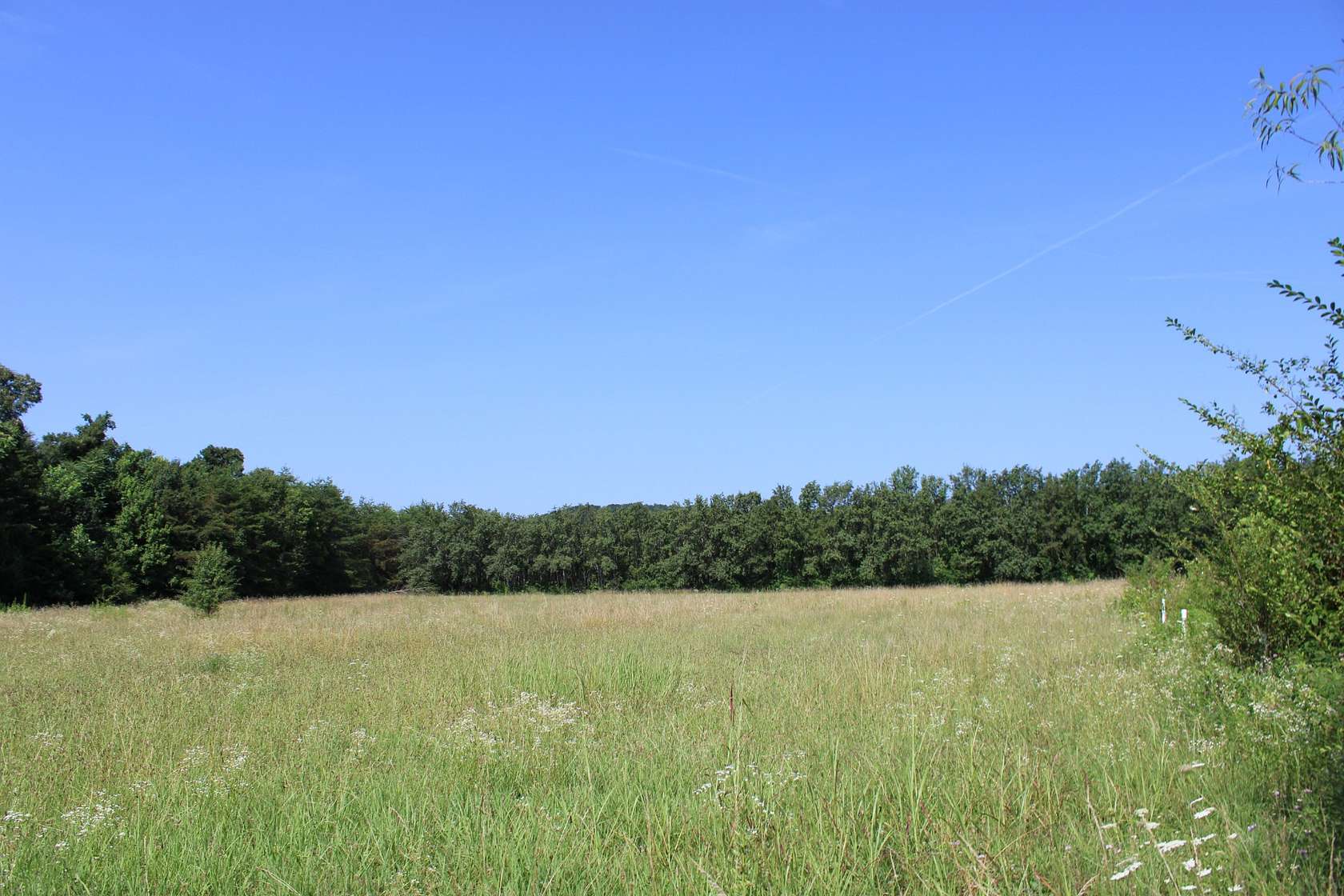 48 Acres of Recreational & Residential Land for Sale in McMinnville, Tennessee