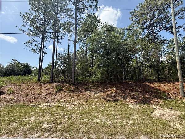 0.23 Acres of Residential Land for Sale in Citrus Springs, Florida