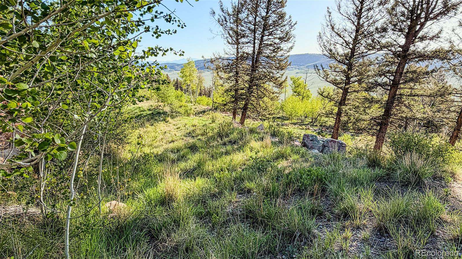 5 Acres of Residential Land for Sale in Fairplay, Colorado
