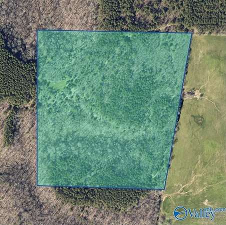 36 Acres of Land for Sale in Moulton, Alabama