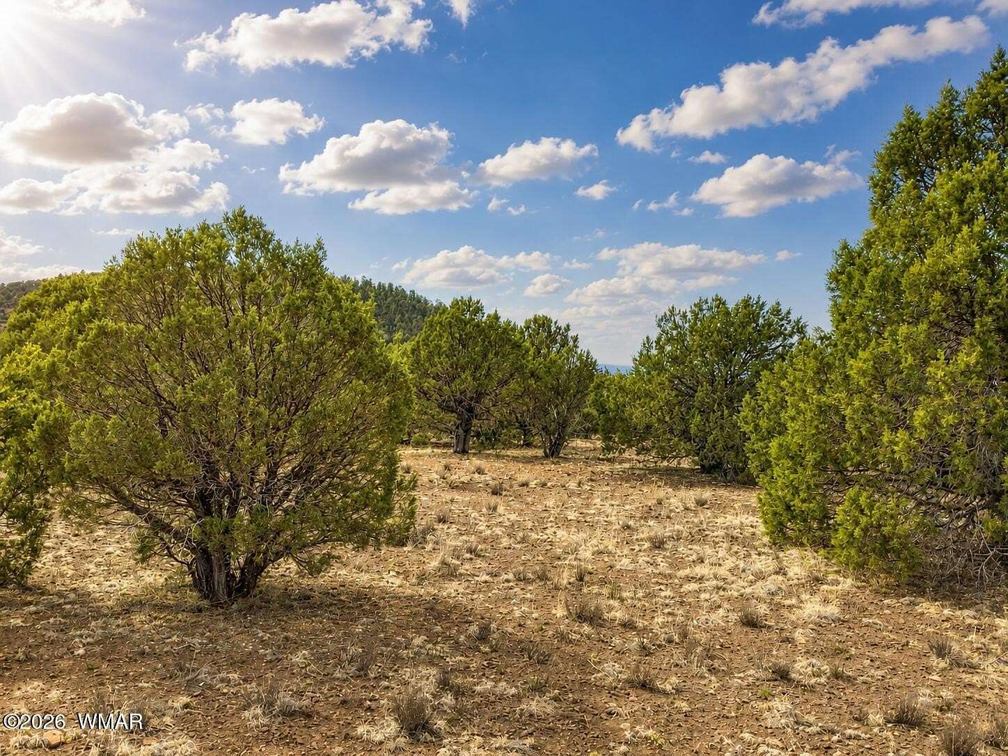 1 Acre of Residential Land for Sale in Vernon, Arizona