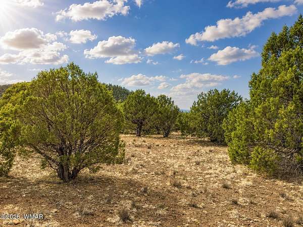 1 Acre of Residential Land for Sale in Vernon, Arizona
