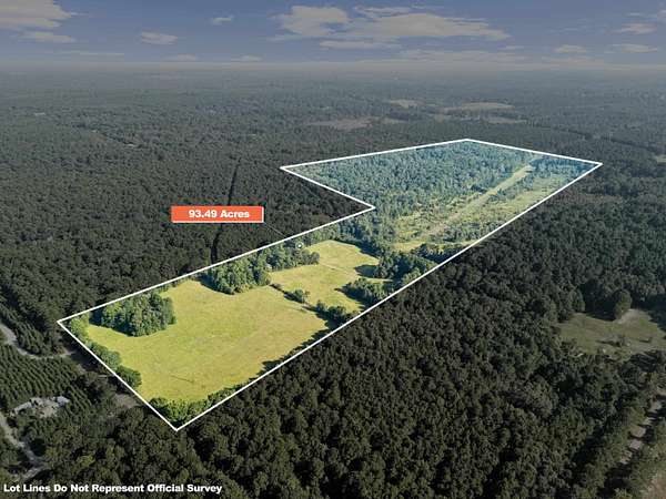 93.7 Acres of Land for Sale in Harleton, Texas