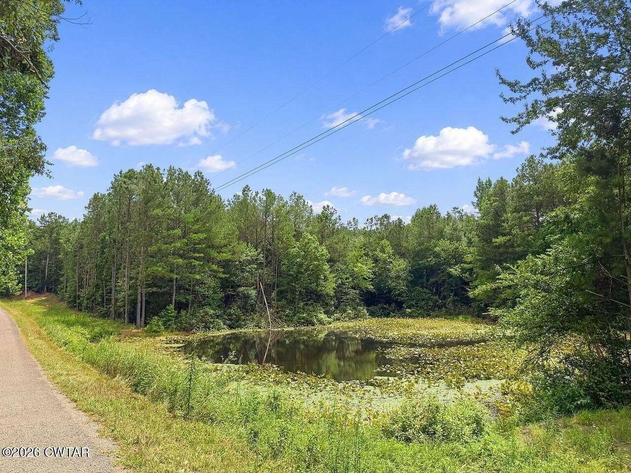 151 Acres of Land for Sale in Lexington, Tennessee