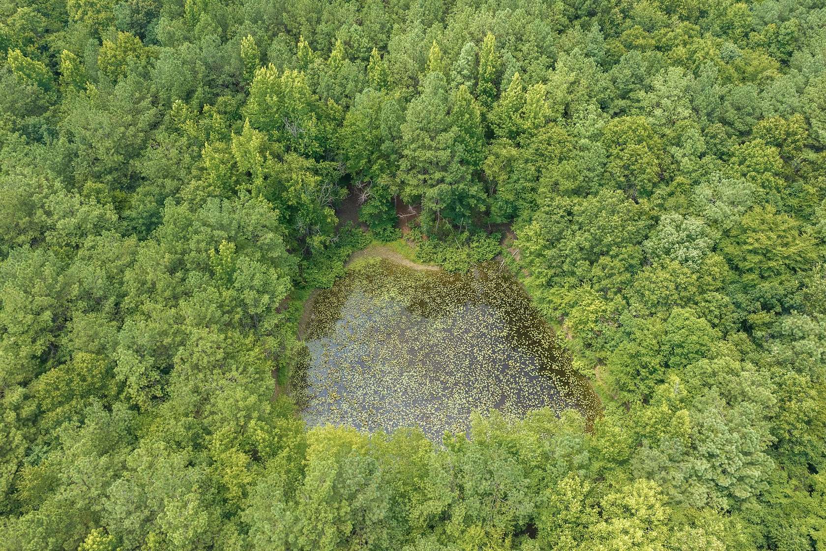 151 Acres of Land for Sale in Lexington, Tennessee