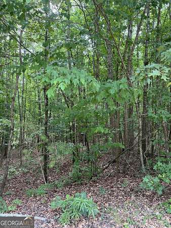 2 Acres of Residential Land for Sale in Lula, Georgia