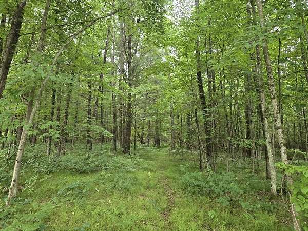 5 Acres of Residential Land for Sale in Chase, Michigan