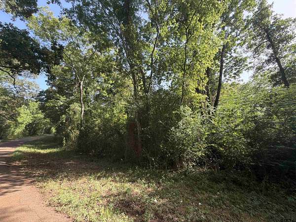 2.69 Acres of Land for Sale in Reklaw, Texas