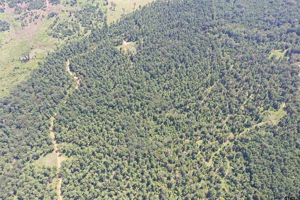 116 Acres of Recreational & Residential Land for Sale in Rusk, Texas