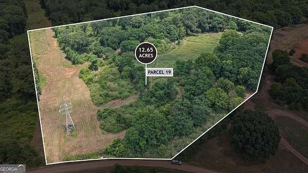 12.7 Acres of Land for Sale in Culloden, Georgia