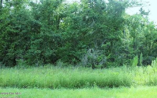 0.3 Acres of Land for Sale in Hampstead, North Carolina