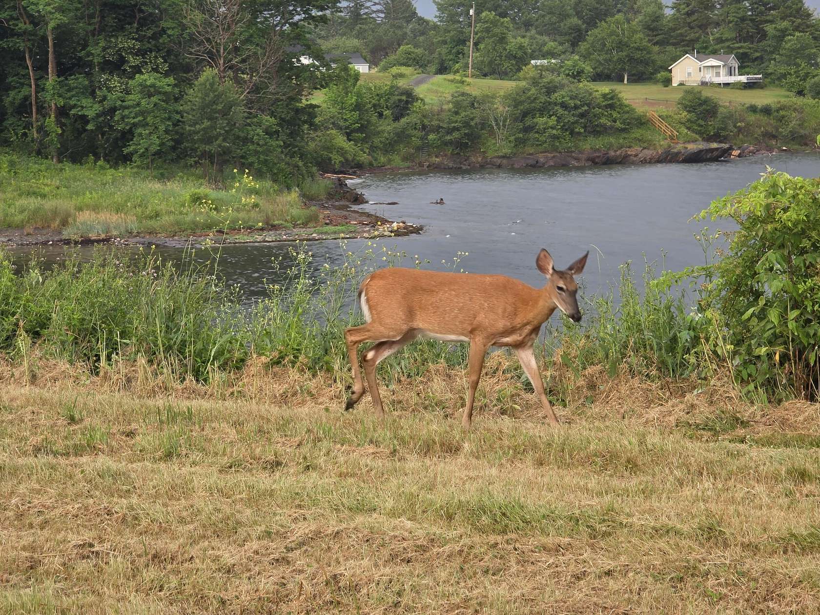 0.78 Acres of Land for Sale in Searsport, Maine