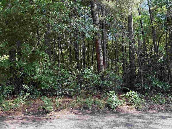 0.08 Acres of Commercial Land for Sale in Longview, Texas