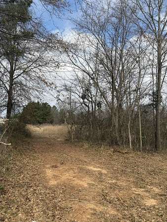 3 Acres of Residential Land for Sale in Tyler, Texas