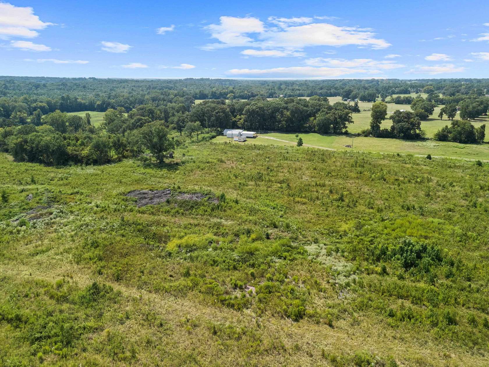 43.3 Acres of Land for Sale in Pittsburg, Texas