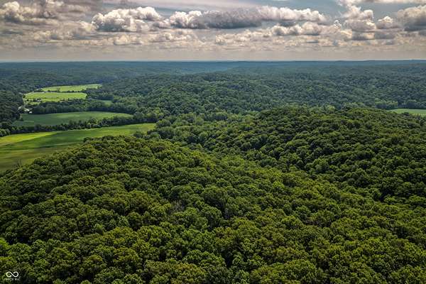 72.2 Acres of Land for Sale in Nashville, Indiana