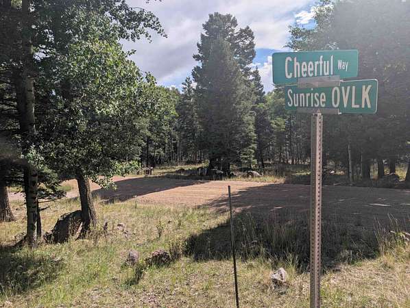 0.78 Acres of Residential Land for Sale in Angel Fire, New Mexico