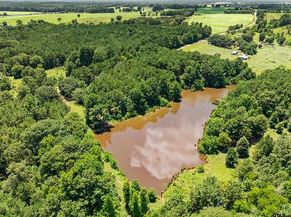 100 Acres of Land for Sale in Troup, Texas
