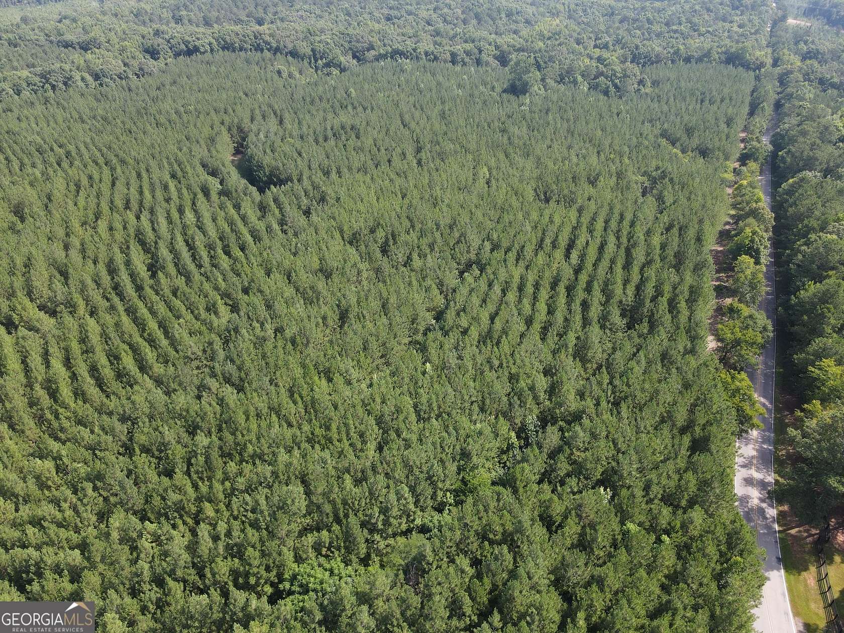 50 Acres of Recreational & Residential Land for Sale in Eatonton, Georgia