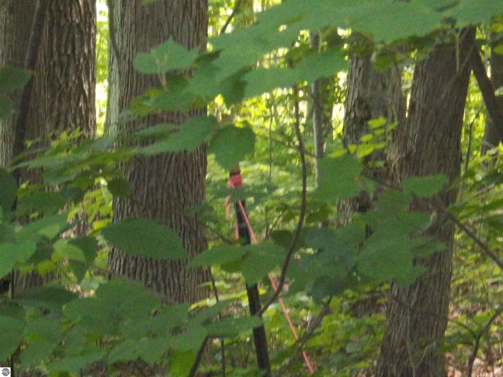 0.22 Acres of Residential Land for Sale in Hale, Michigan