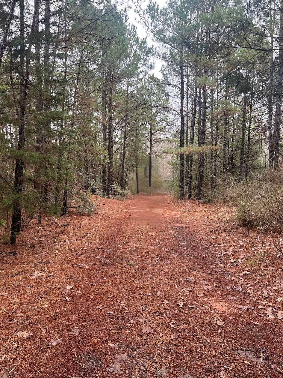33.5 Acres of Recreational Land for Sale in Tatum, Texas