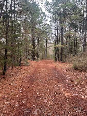 33.5 Acres of Recreational Land for Sale in Tatum, Texas