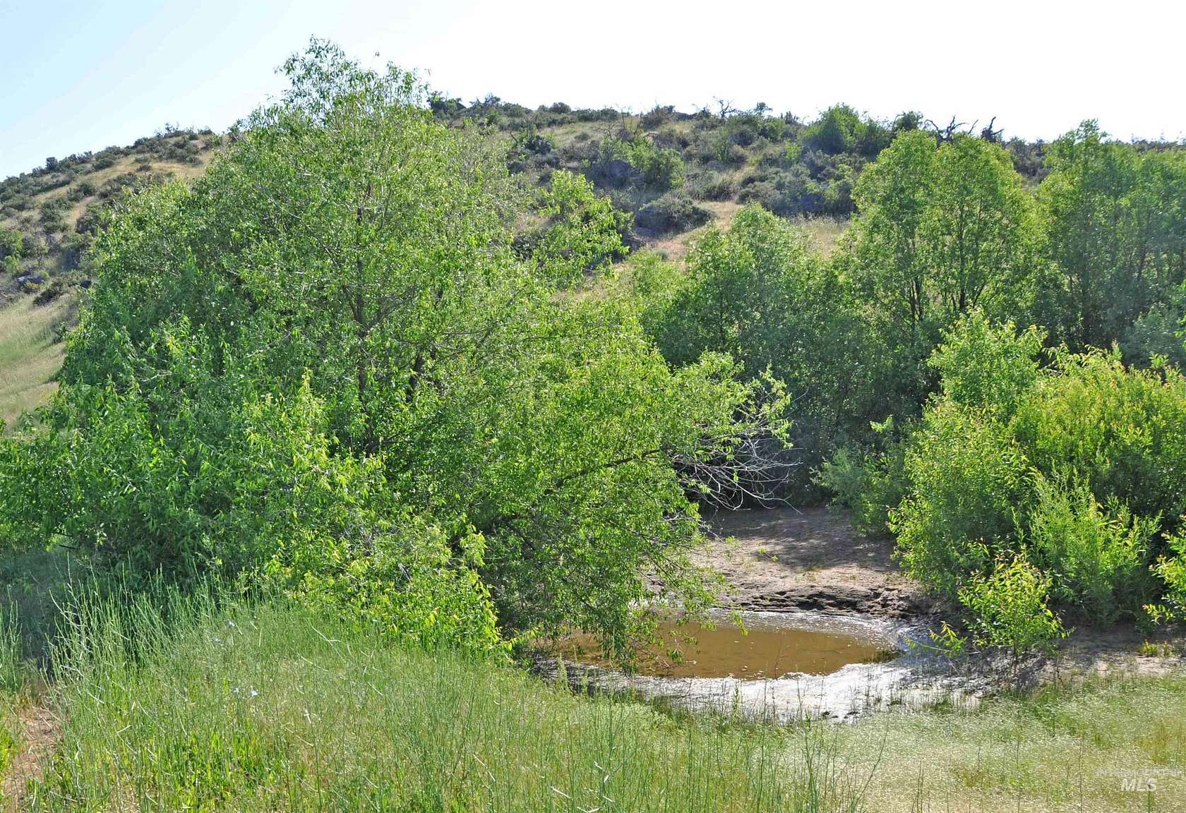 53.6 Acres of Land for Sale in Ola, Idaho