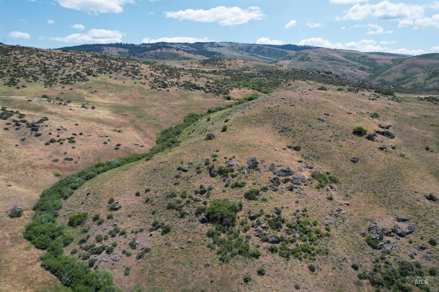 53.6 Acres of Land for Sale in Ola, Idaho