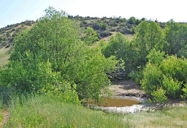53.6 Acres of Land for Sale in Ola, Idaho