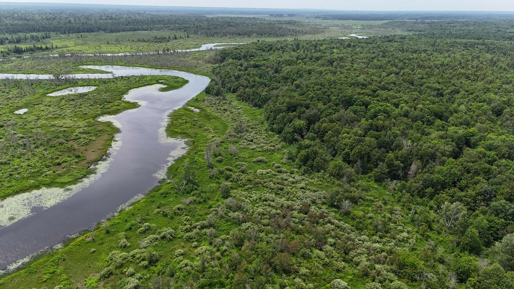 750 Acres of Recreational Land for Sale in Newberry, Michigan