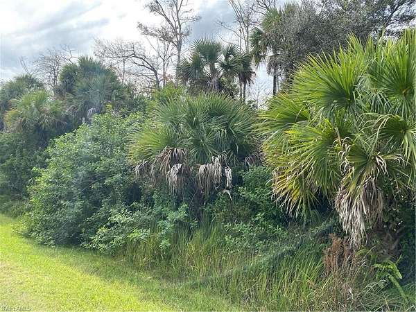 2.73 Acres of Residential Land for Sale in Naples, Florida