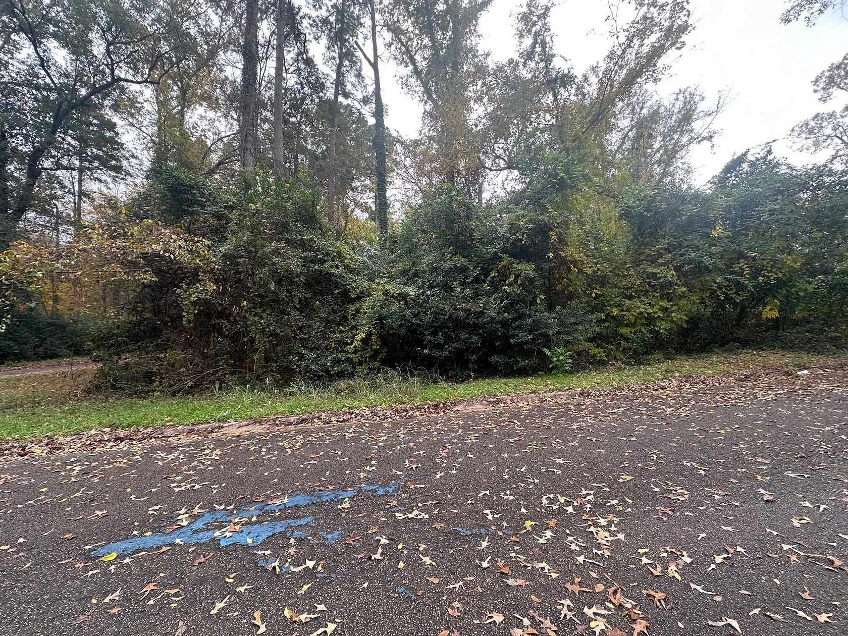 0.38 Acres of Land for Sale in Kilgore, Texas