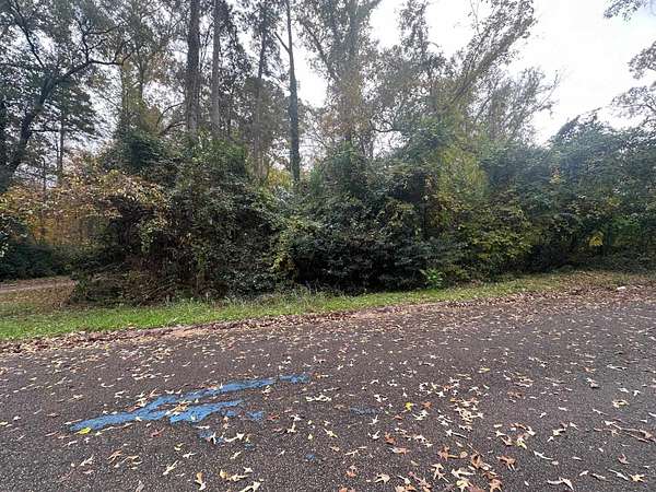 0.38 Acres of Land for Sale in Kilgore, Texas