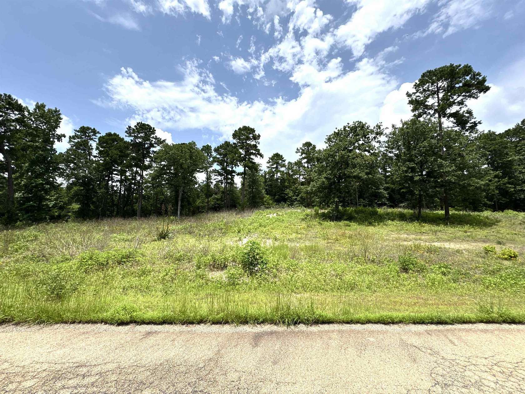 1.19 Acres of Residential Land for Sale in Hawkins, Texas
