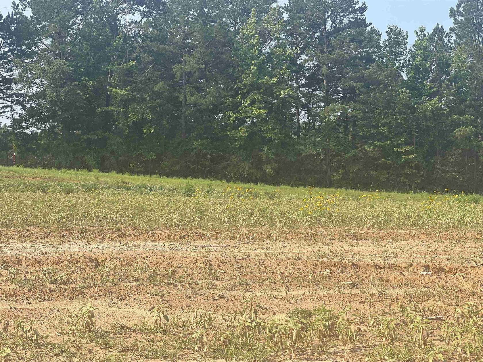 0.8 Acres of Residential Land for Sale in Hallsville, Texas