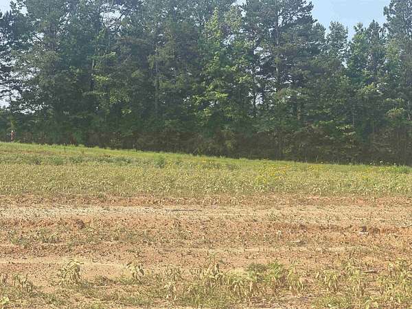 0.8 Acres of Residential Land for Sale in Hallsville, Texas