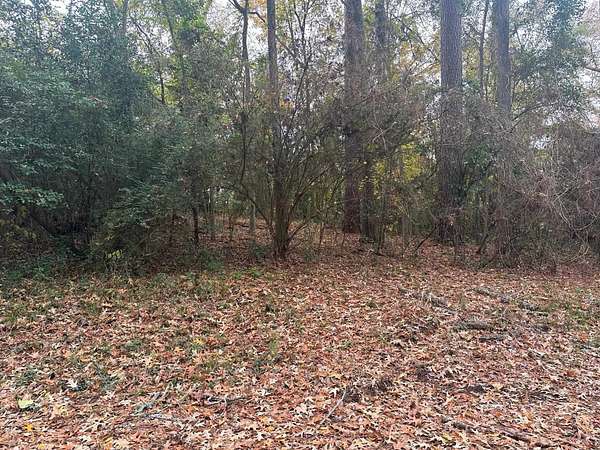0.38 Acres of Residential Land for Sale in Kilgore, Texas