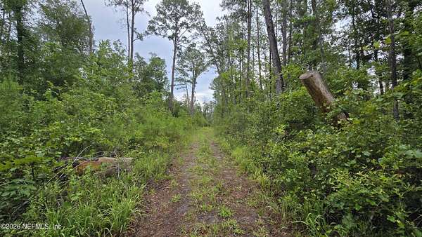 2.2 Acres of Residential Land for Sale in Jasper, Florida