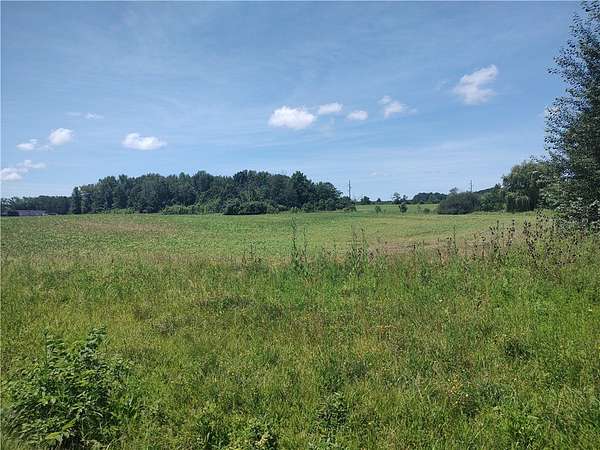 47 Acres of Land for Sale in Seneca Falls, New York