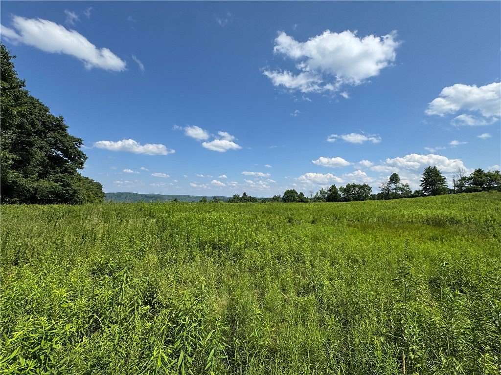 13.8 Acres of Land for Sale in Butternuts Town, New York