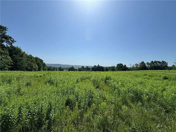13.8 Acres of Land for Sale in Butternuts Town, New York