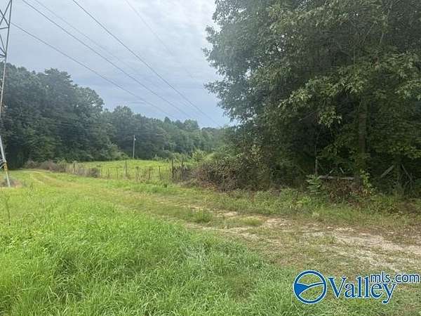 10 Acres of Land with Home for Sale in Hollywood, Alabama