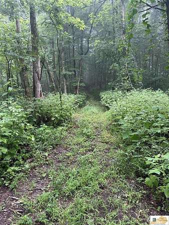 68.5 Acres of Recreational Land for Sale in Tompkinsville, Kentucky