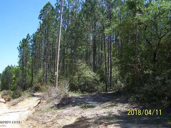 2 Acres of Land for Sale in Alford, Florida