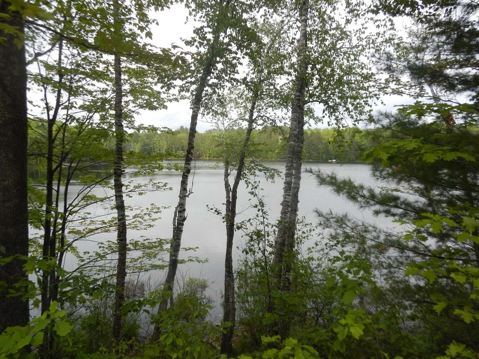 8.77 Acres of Land for Sale in Land O' Lakes, Wisconsin