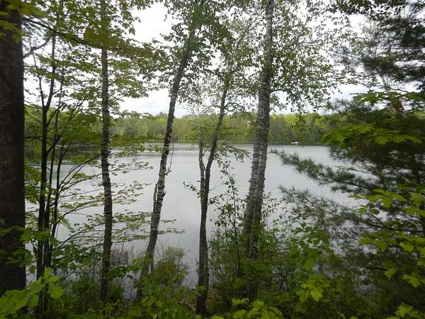 8.77 Acres of Land for Sale in Land O' Lakes, Wisconsin