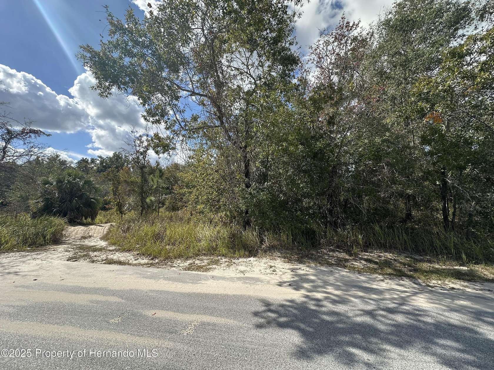 0.54 Acres of Residential Land for Sale in Weeki Wachee, Florida